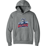 Hartford Jr. Wolfpack Heavyweight Hoodie